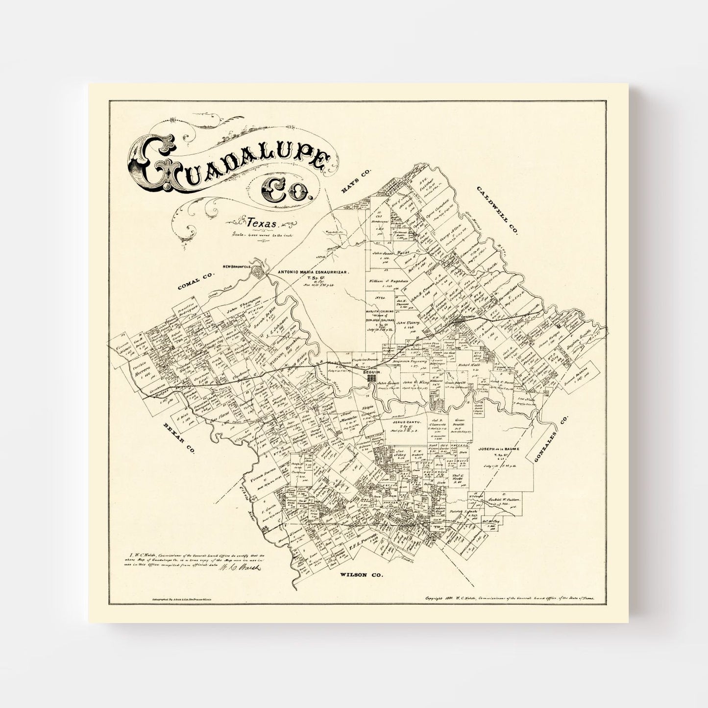 Vintage Map of Guadalupe County, Texas, 1880 II