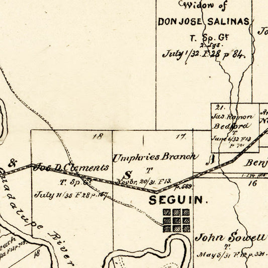 Vintage Map of Guadalupe County, Texas, 1880 II