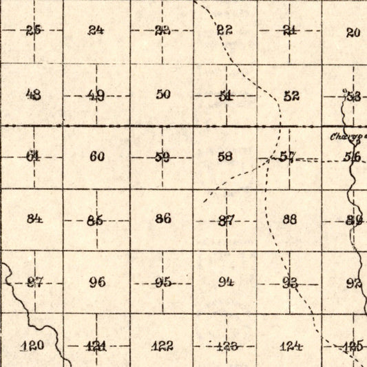 Vintage Map of Jeff Davis County, Texas, 1894