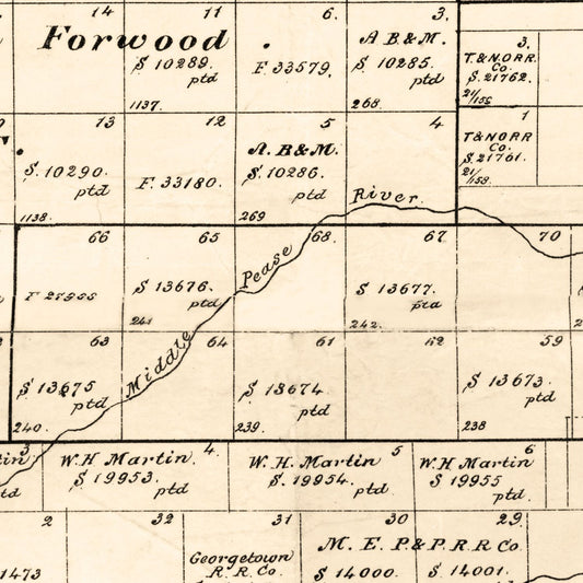 Vintage Map of Motley County, Texas, 1893