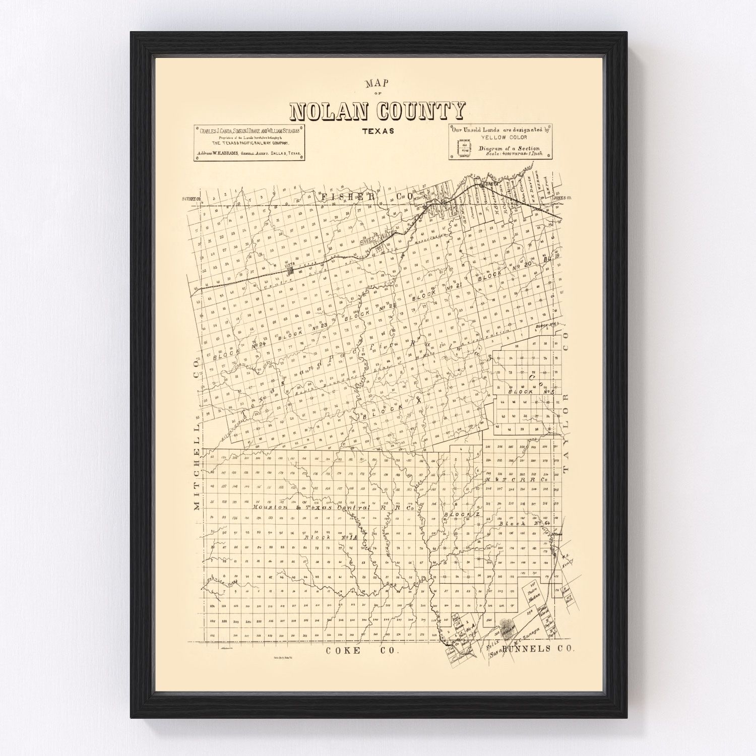 vintage map of Nolan County, Texas, 1890
