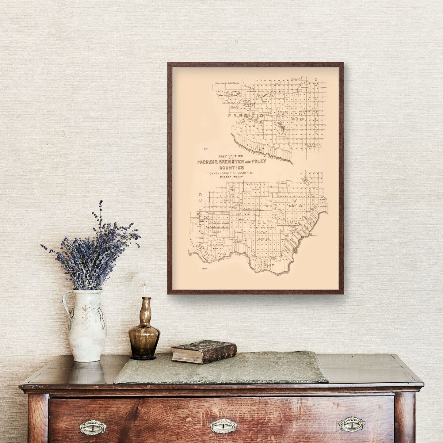 Vintage Map of Presidio County, Texas, 1891