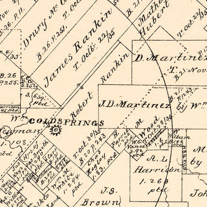 Vintage Map of San Jacinto County, Texas, 1879