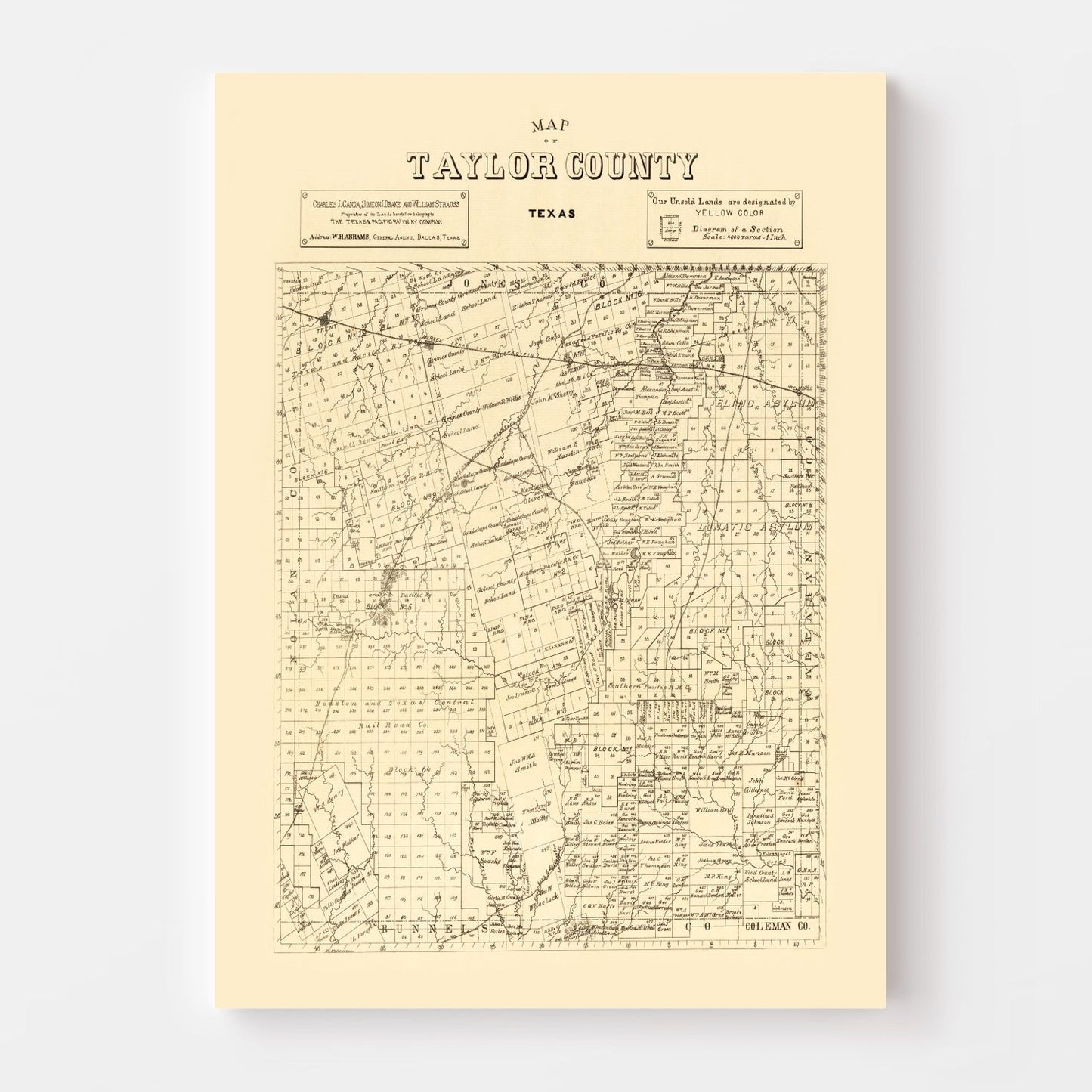 Vintage Map of Taylor County, Texas, 1890