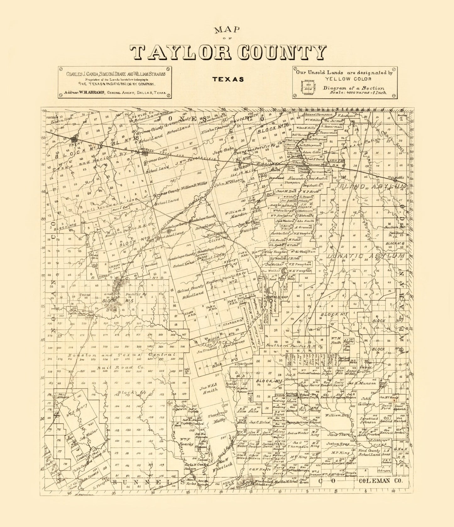 Vintage Map of Taylor County, Texas, 1890