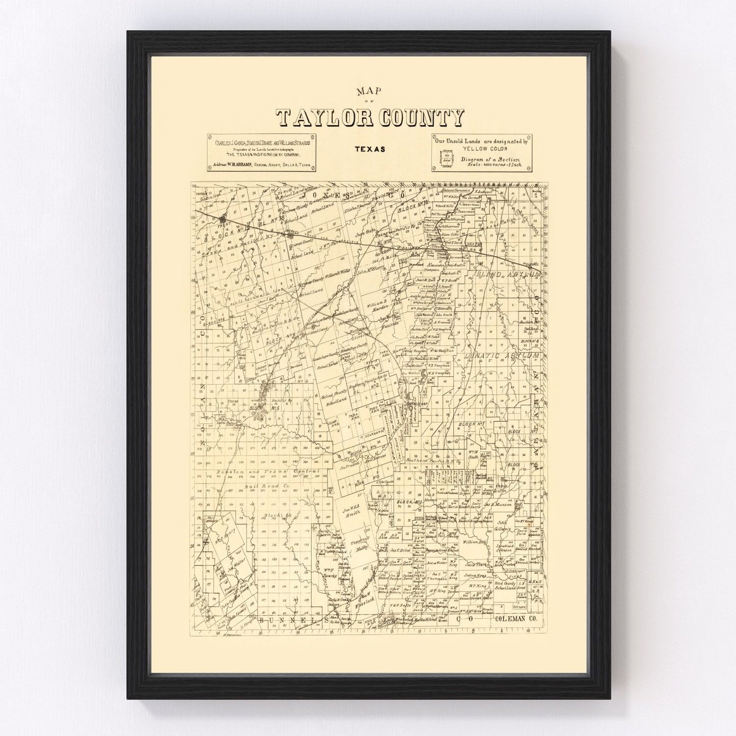 vintage map of Taylor County, Texas, 1890