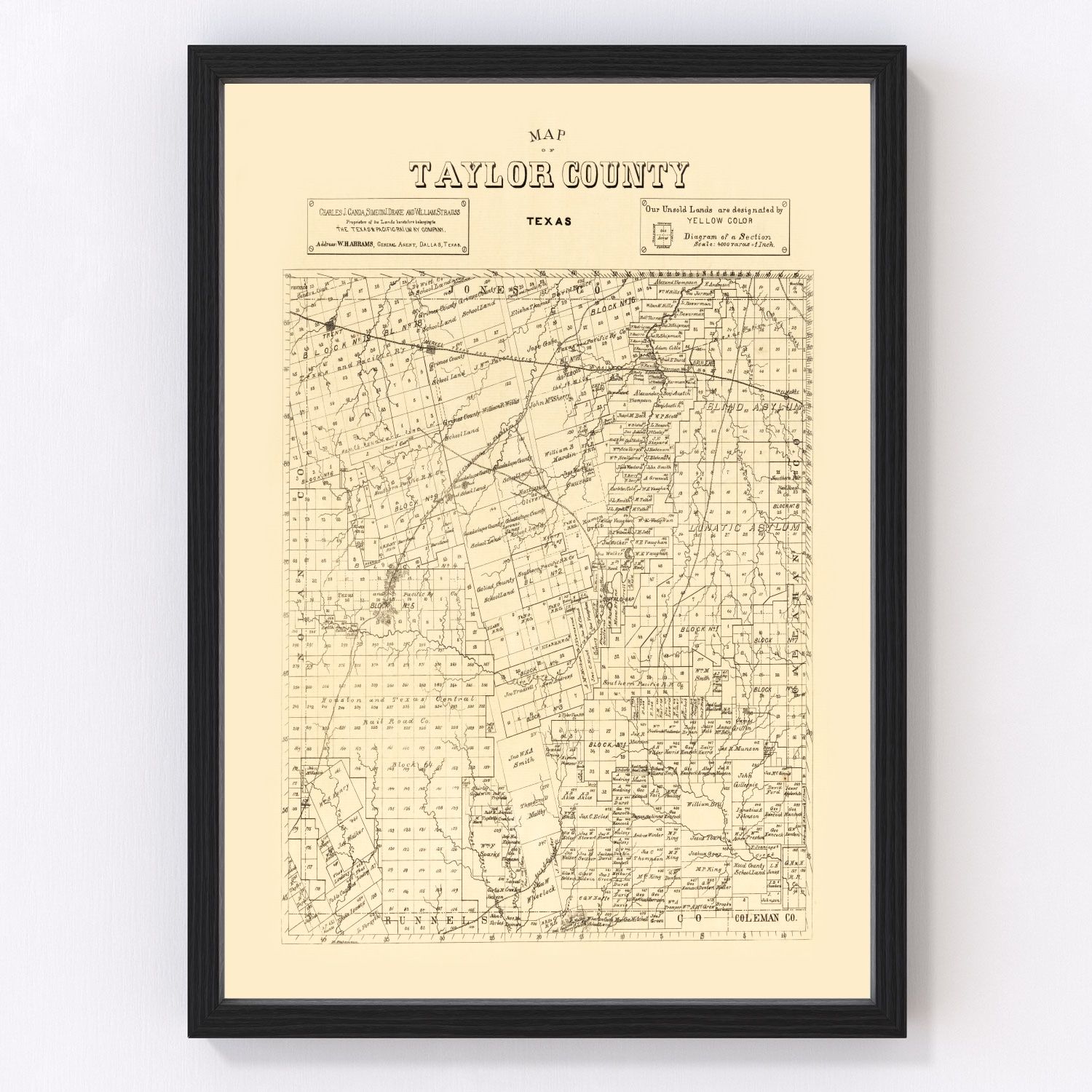 vintage map of Taylor County, Texas, 1890