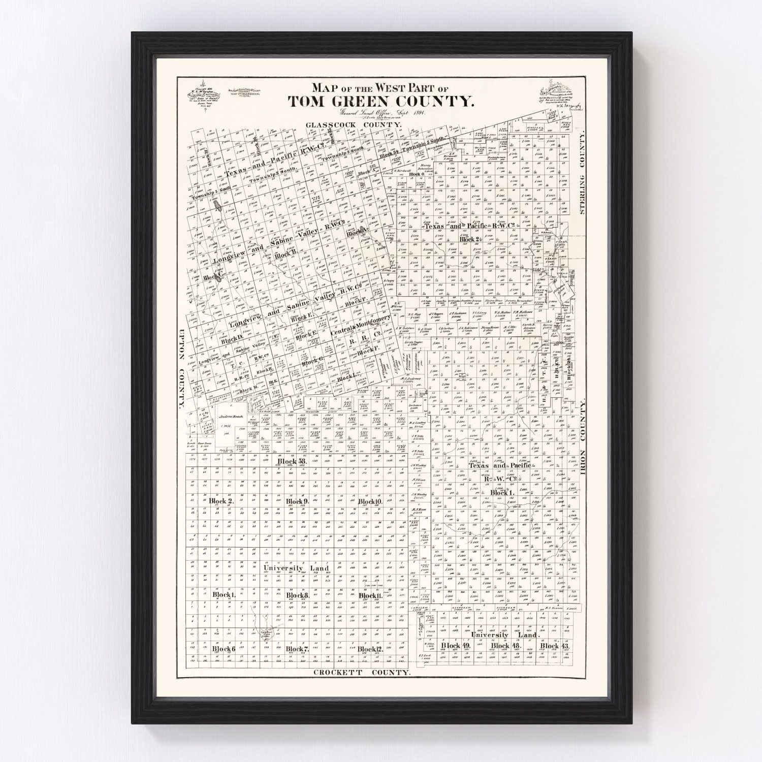 Vintage map of Tom Green County, Texas, 1894