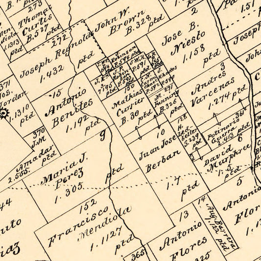 Vintage Map of Wilson County, Texas, 1879