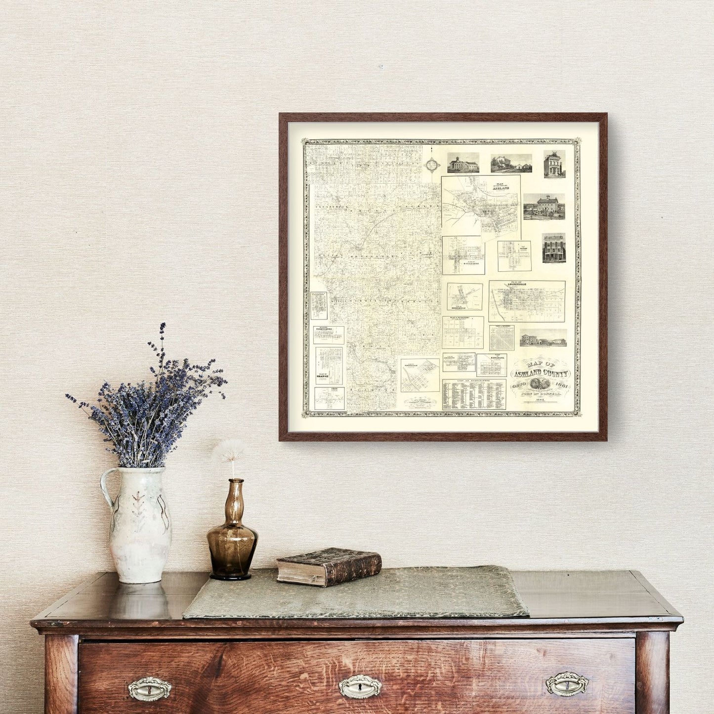 Vintage Map of Ashland County, Ohio, 1861 (Southern Districts)