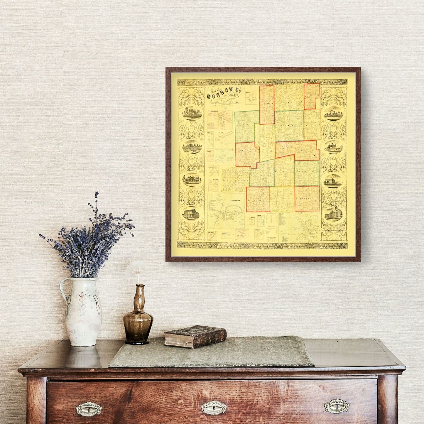 Vintage Map of Morrow County, Ohio, 1857