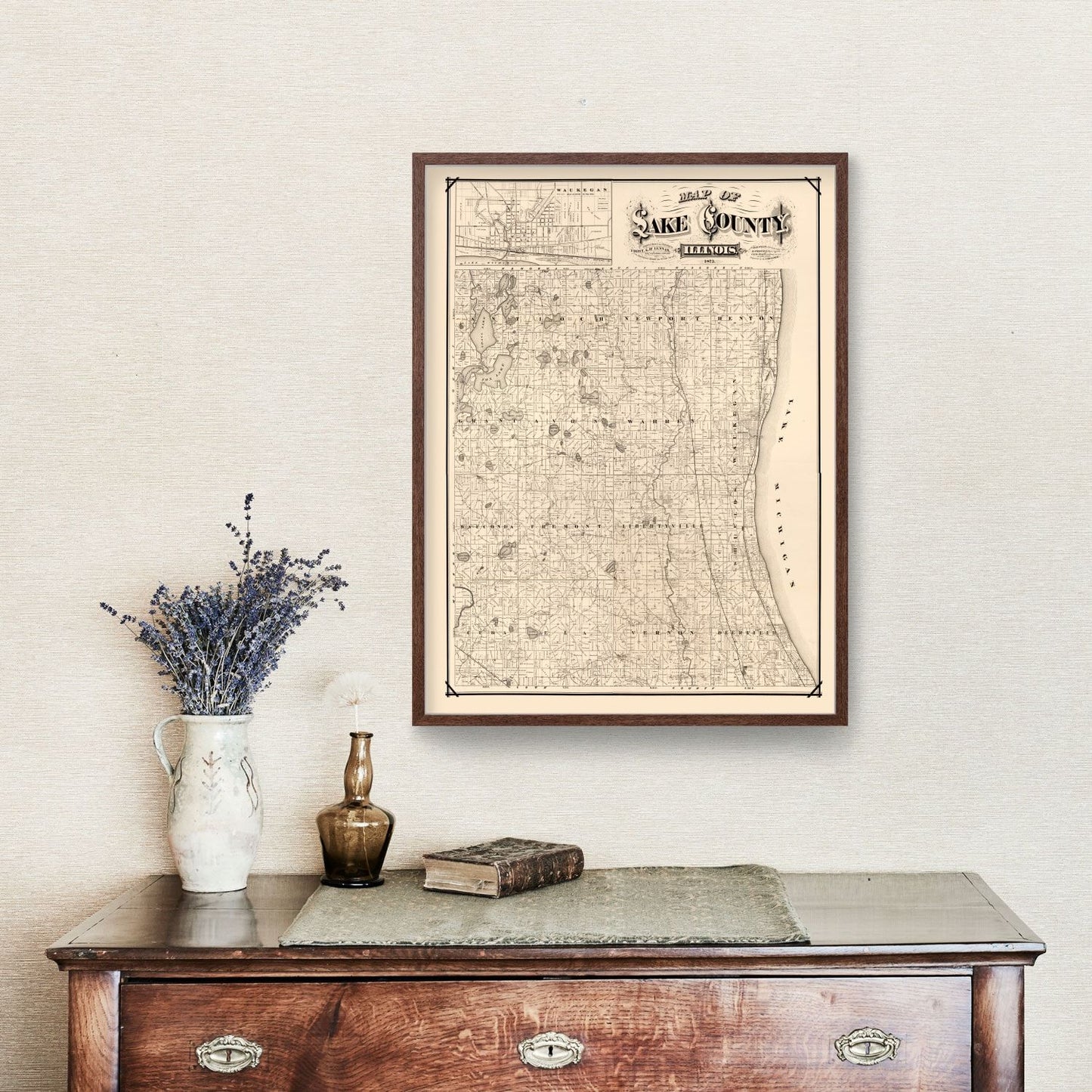 Vintage Map of Lake County, Illinois, 1873