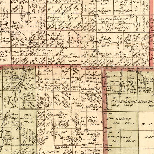 Vintage Map of Sanilac County, Michigan, 1876