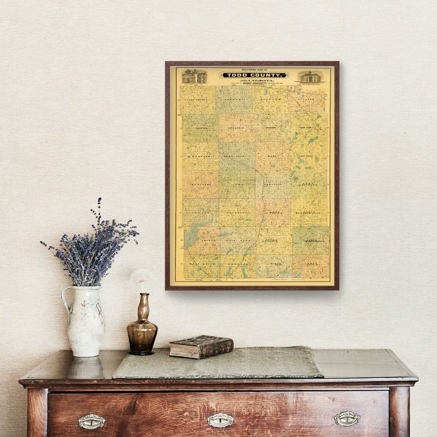 Vintage Map of Todd County, Minnesota, 1890