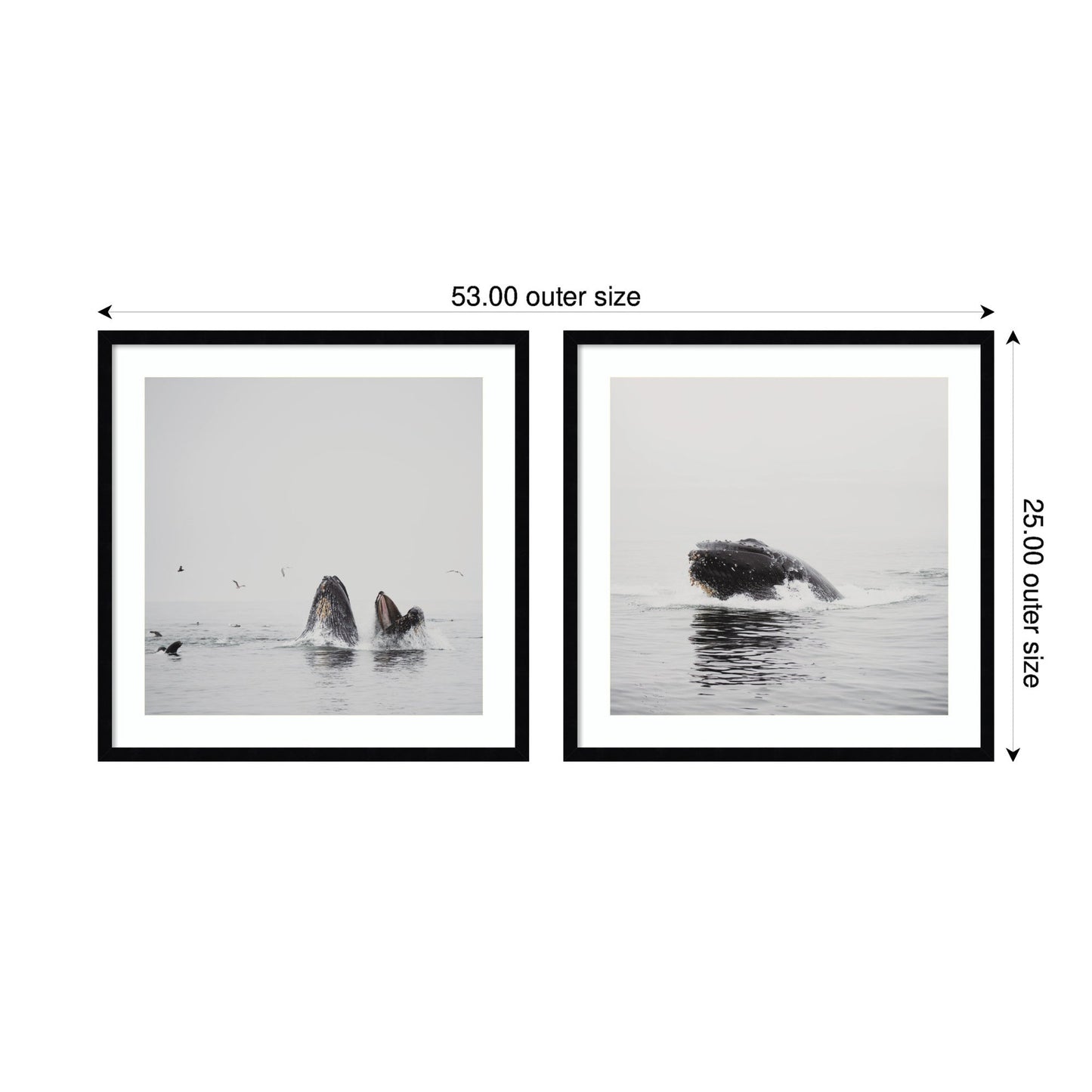 Humpback Whale 2 Piece Framed Wall Art Print Set by Laura Evans