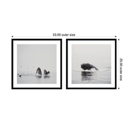 Humpback Whale 2 Piece Framed Wall Art Print Set by Laura Evans