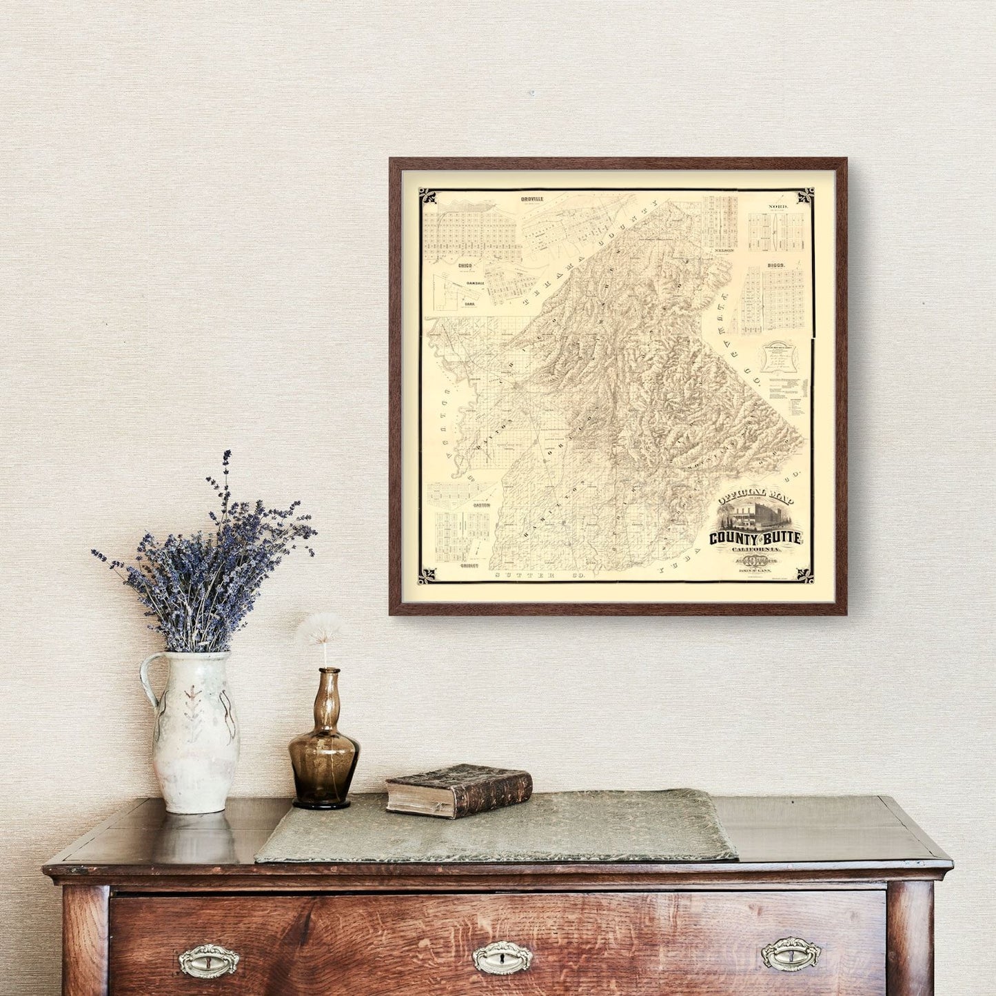 Vintage Map of Butte County, California, 1877 Wall Art