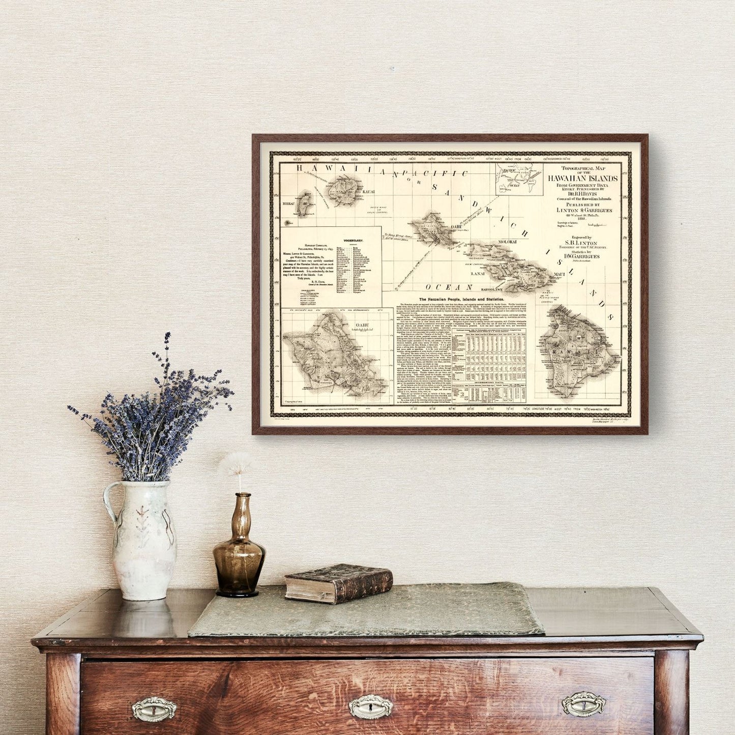 Vintage Map of Hawaii, 1893