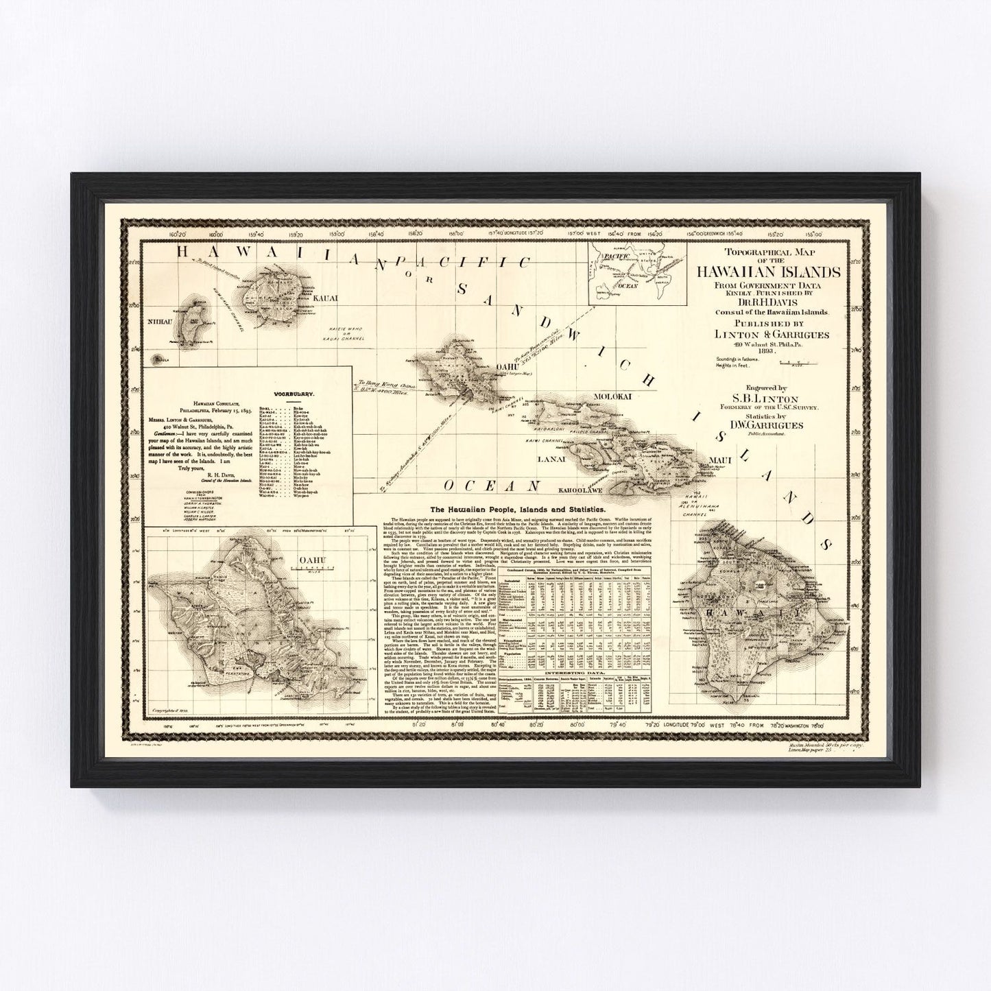Vintage map of Hawaii, 1893