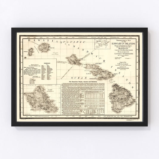 Vintage map of Hawaii, 1893