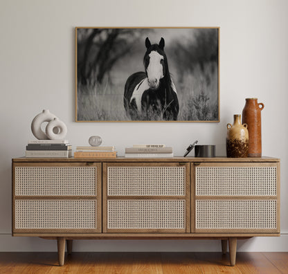 Wild Hearts Run Free Black and White Horse Wall Art