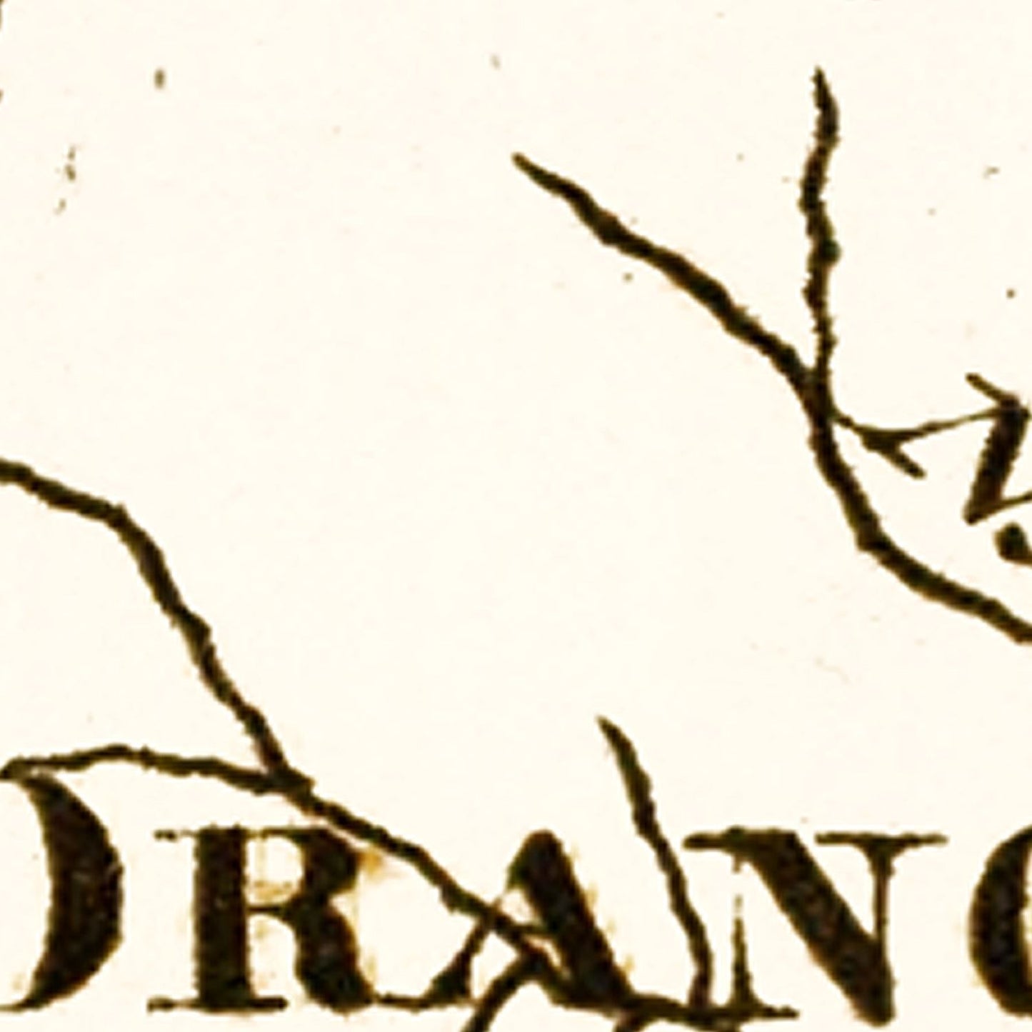 Vintage Map of South Carolina, 1795