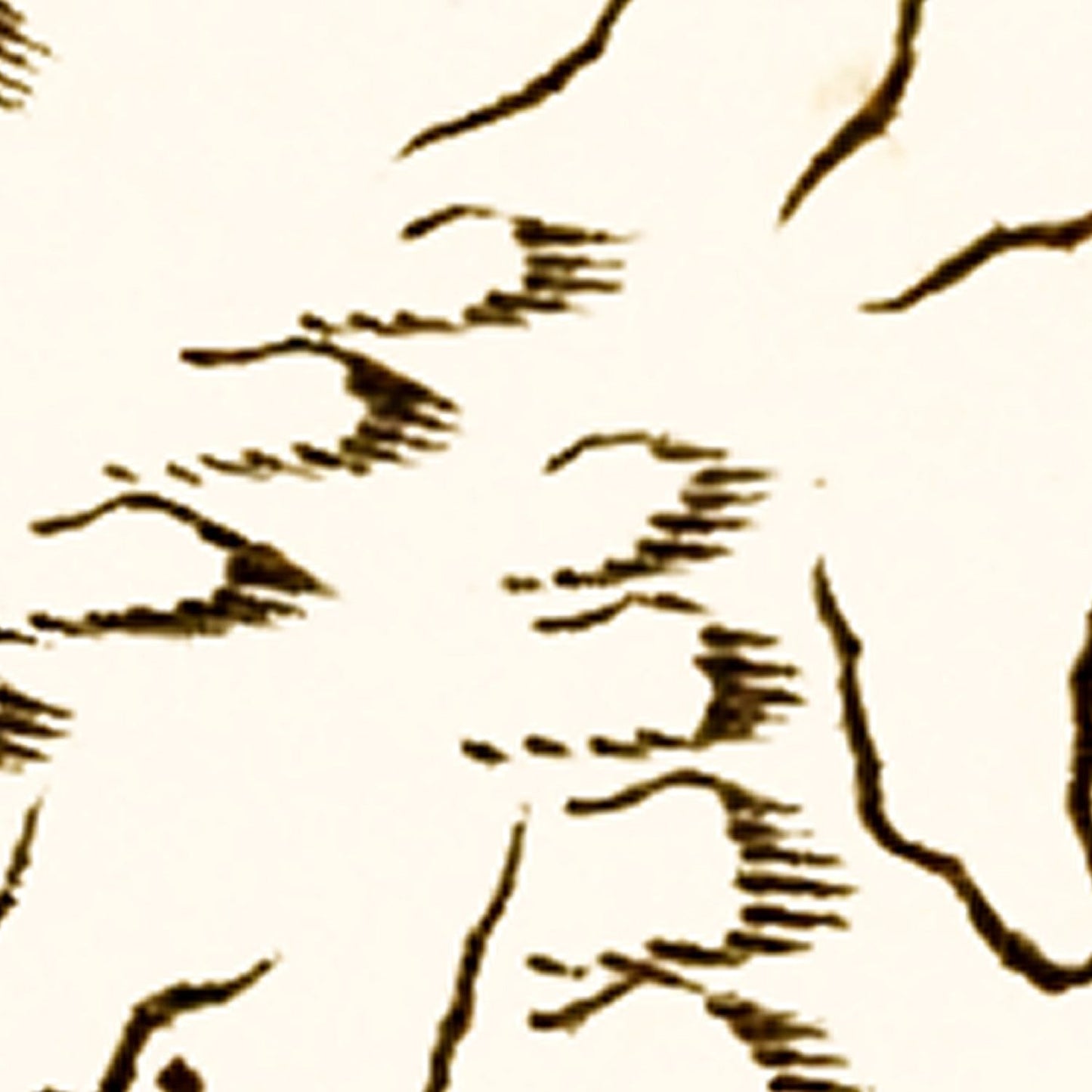 Vintage Map of Virginia, 1795