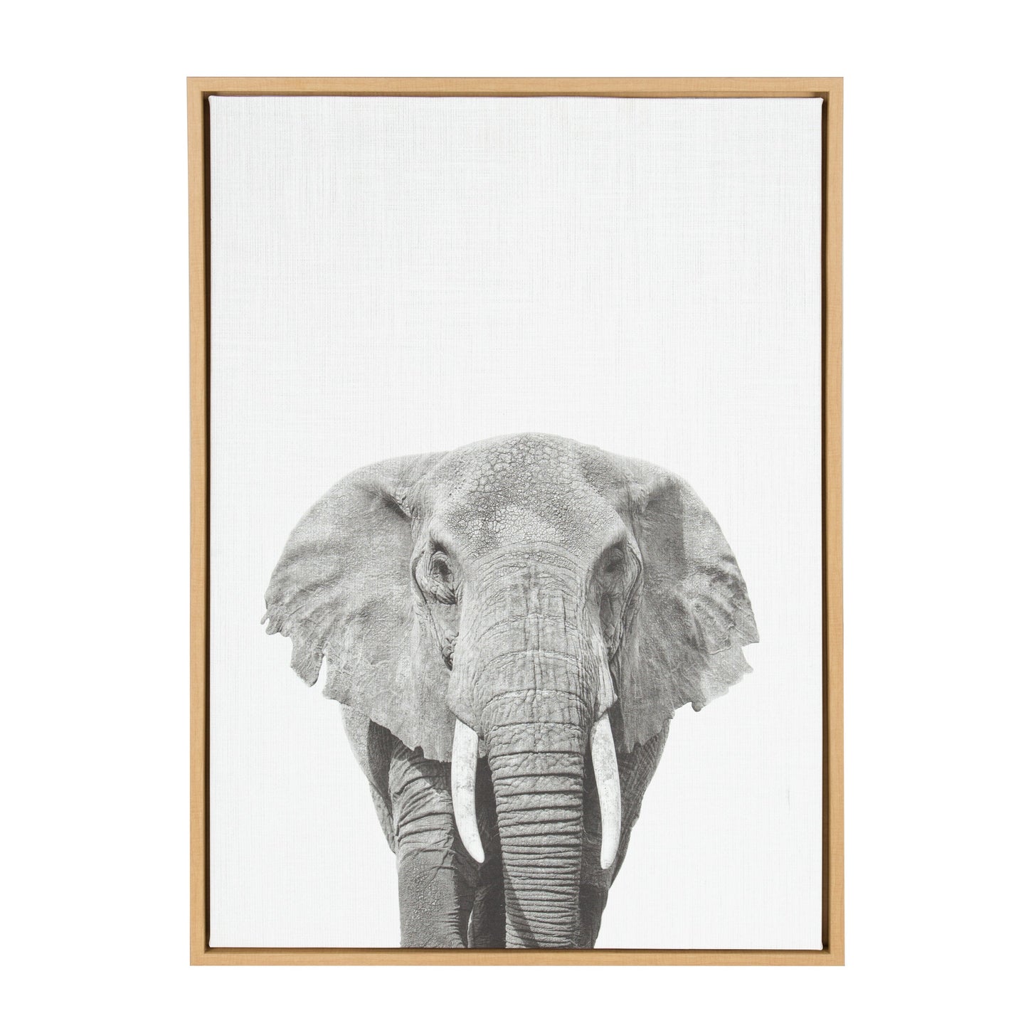 Elephant framed canvas wall art