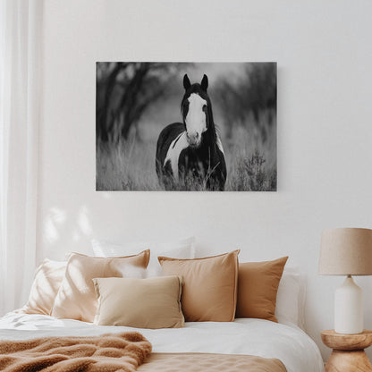 Wild Hearts Run Free Black and White Horse Wall Art