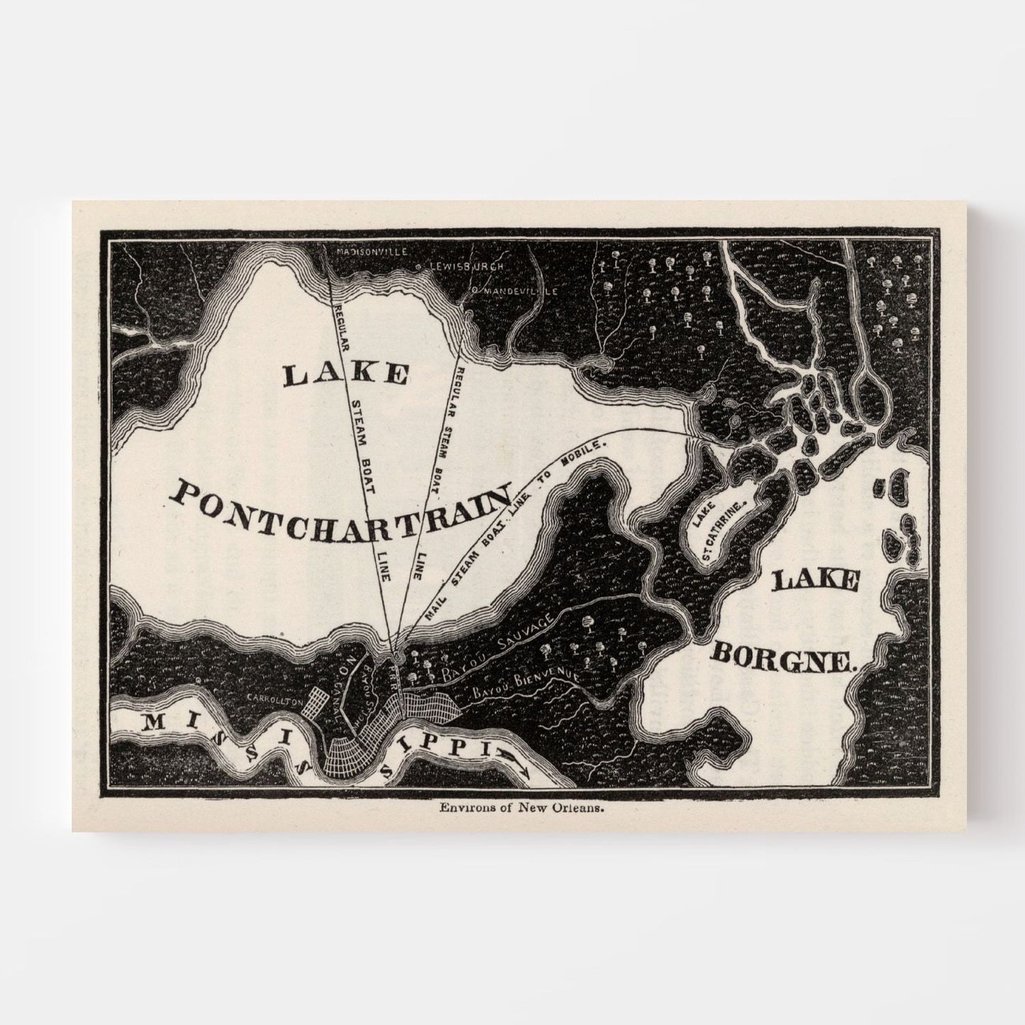 Vintage Map of New Orleans, Louisiana, 1845 (III)