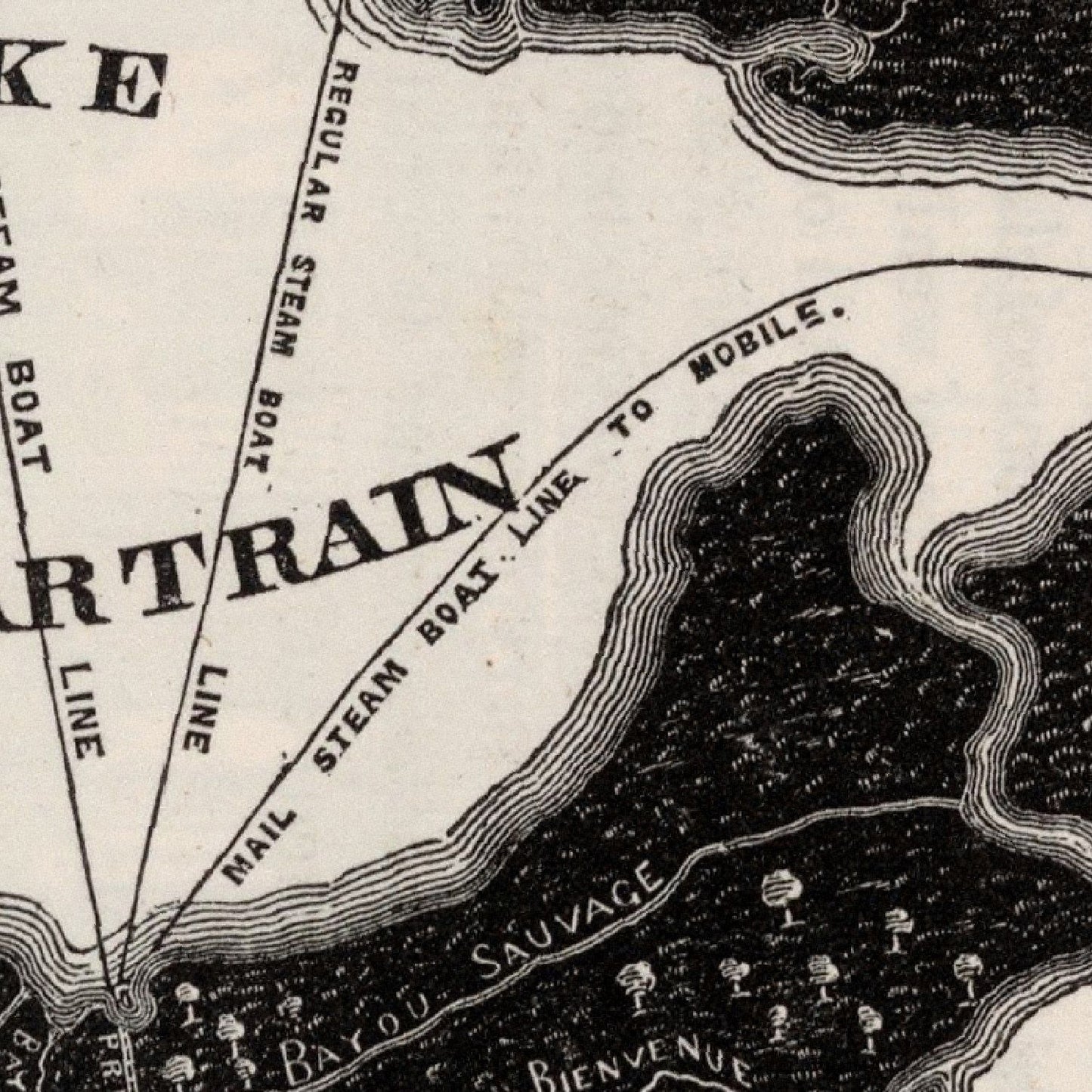Vintage Map of New Orleans, Louisiana, 1845 (III)