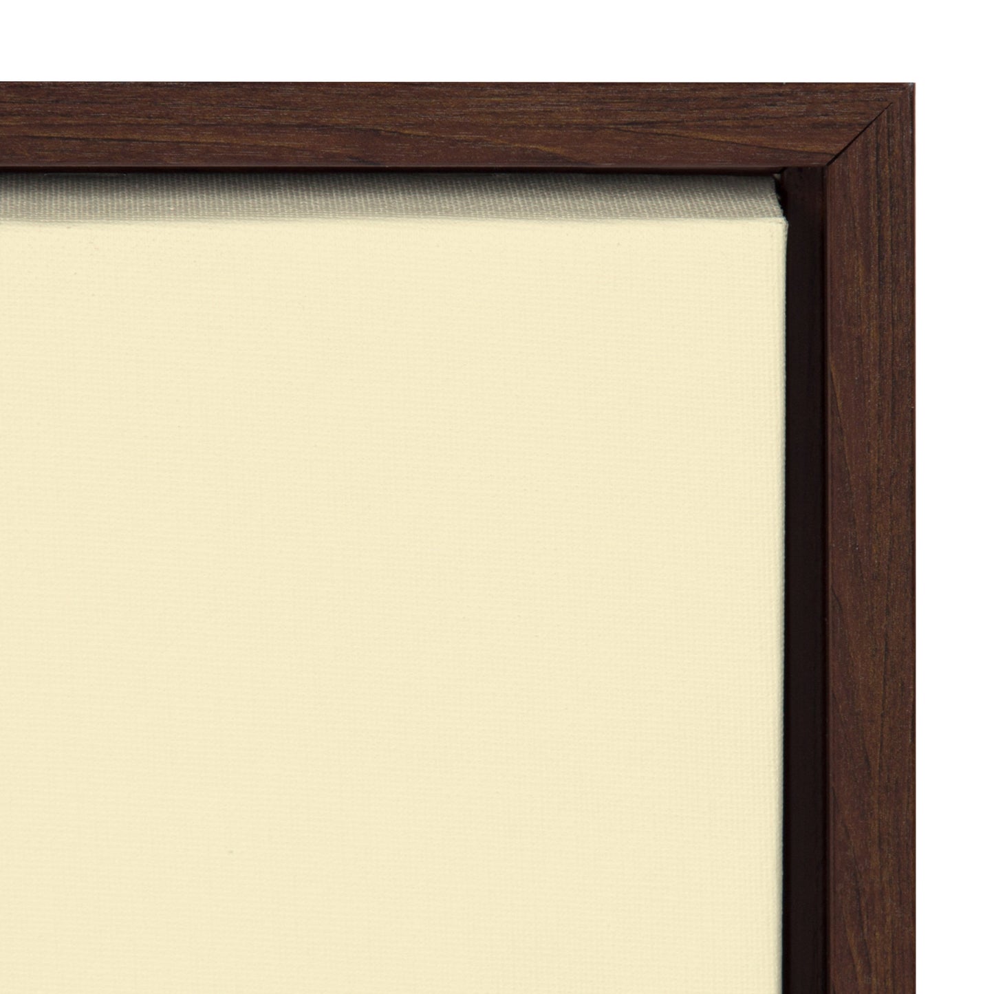 Modern Elephant Framed Canvas Wall Art