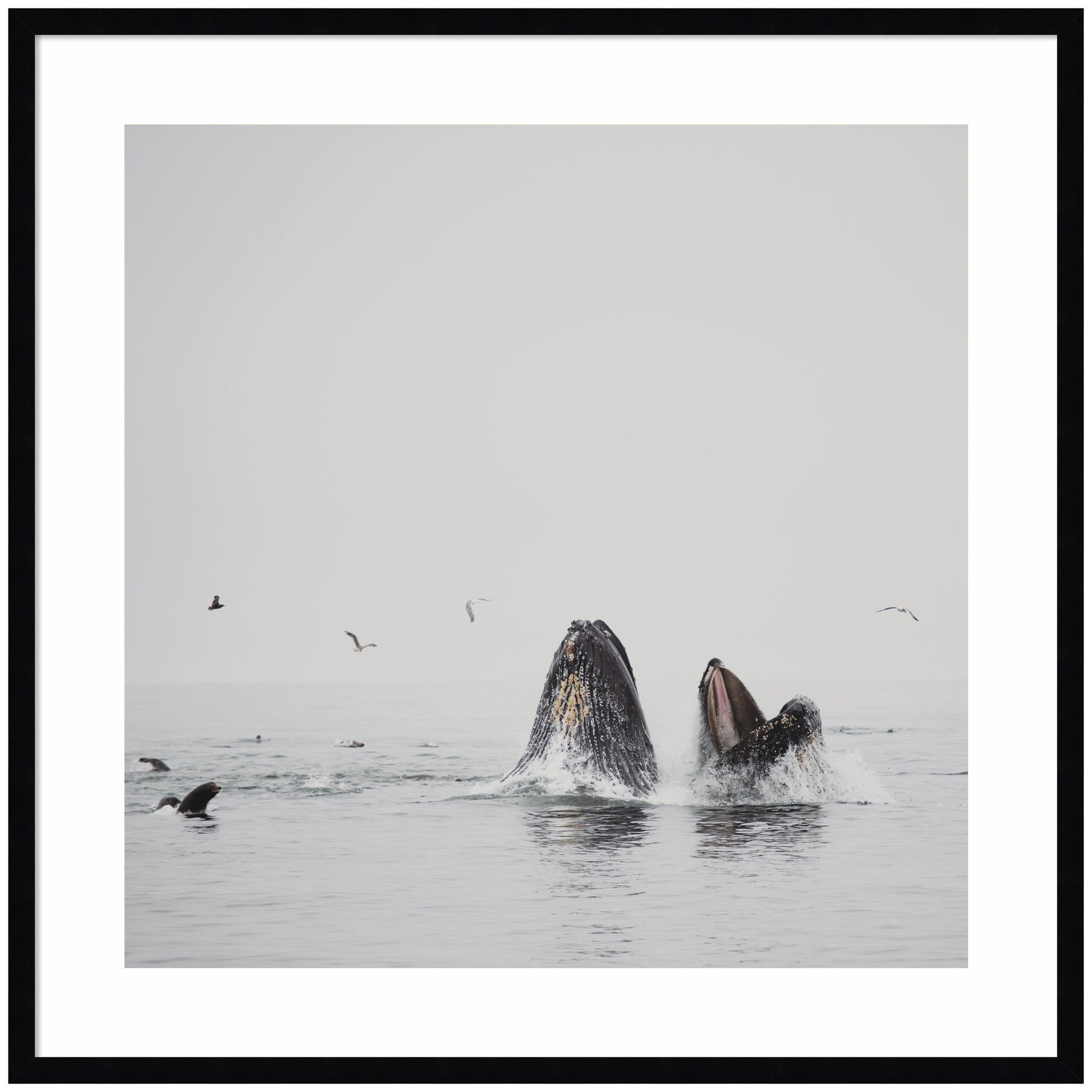 Humpback whales framed wall art print, ocean decor