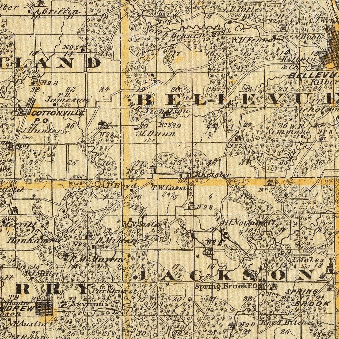 Vintage Map of Jackson County, Iowa, 1875