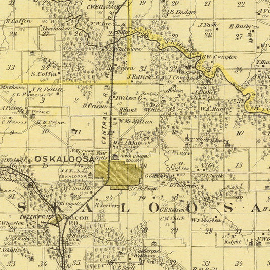 Vintage Map of Mahaska County, Iowa, 1875