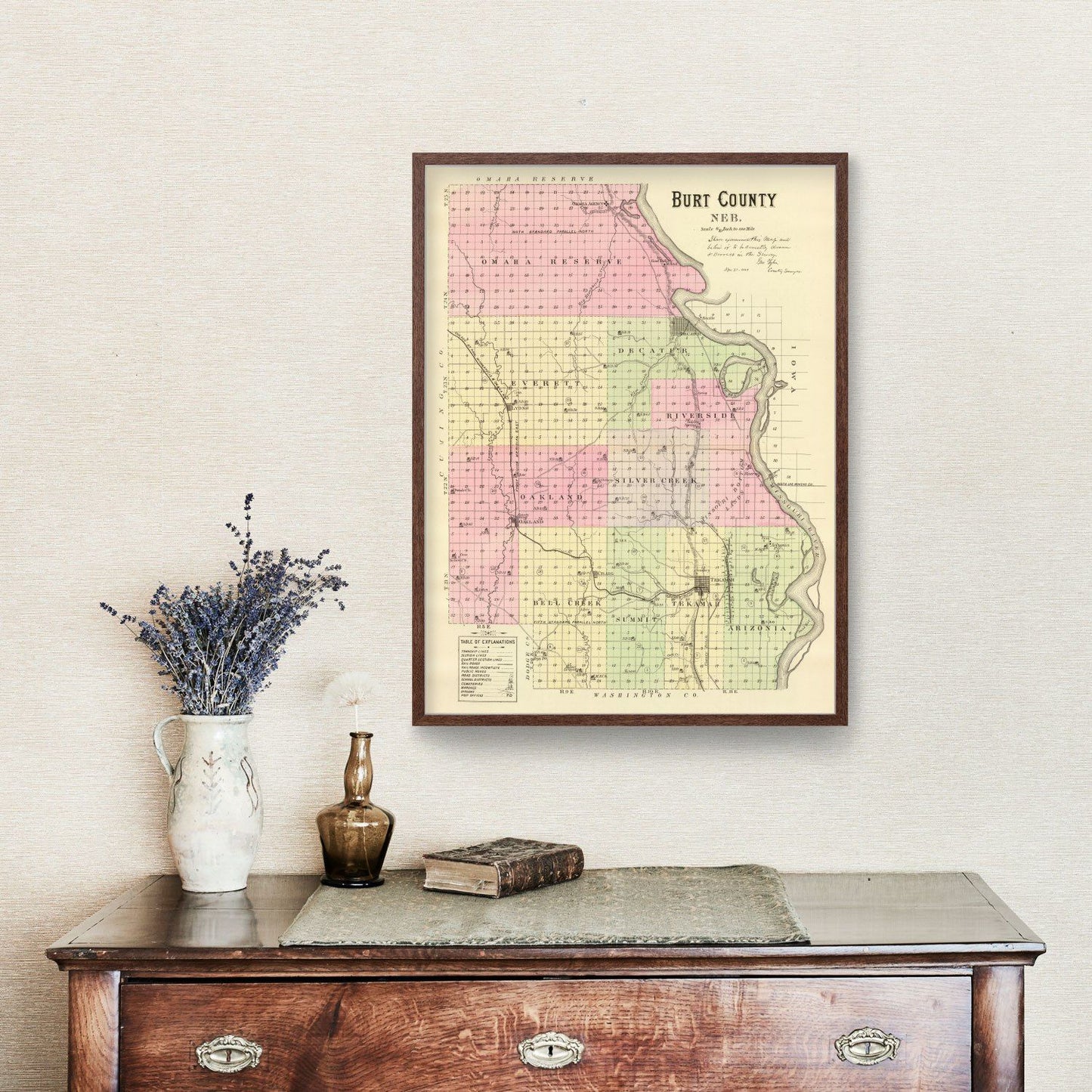 Vintage Map of Burt County, Nebraska, 1885 | Wall Art