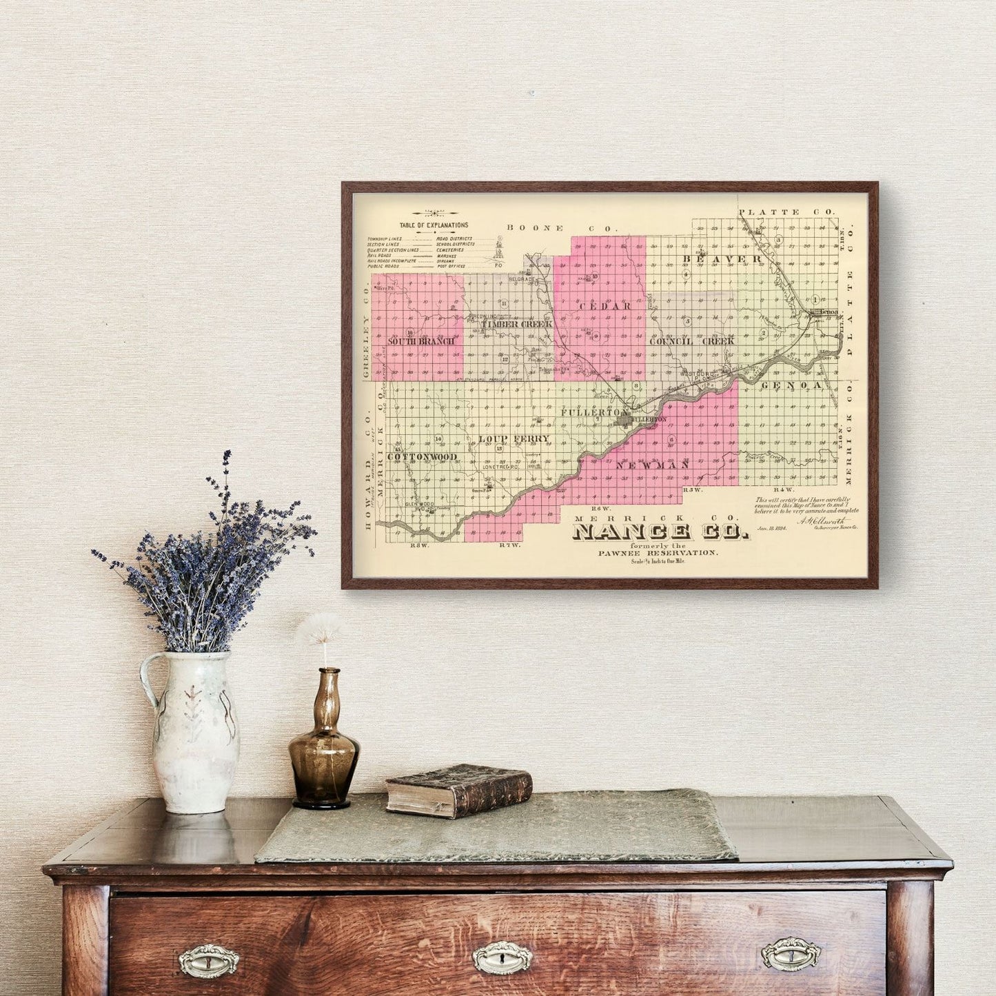 Vintage Map of Nance County, Nebraska, 1885