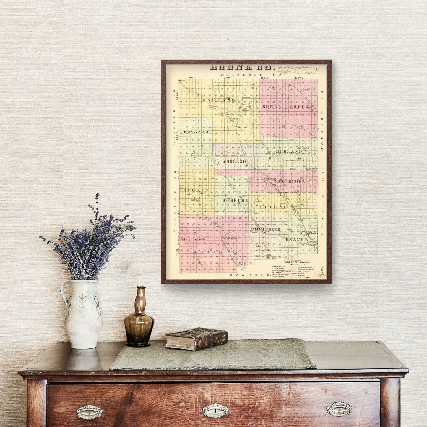 Vintage Map of Boone County, Nebraska, 1885