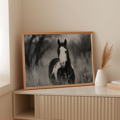 Wild Hearts Run Free Black and White Horse Wall Art