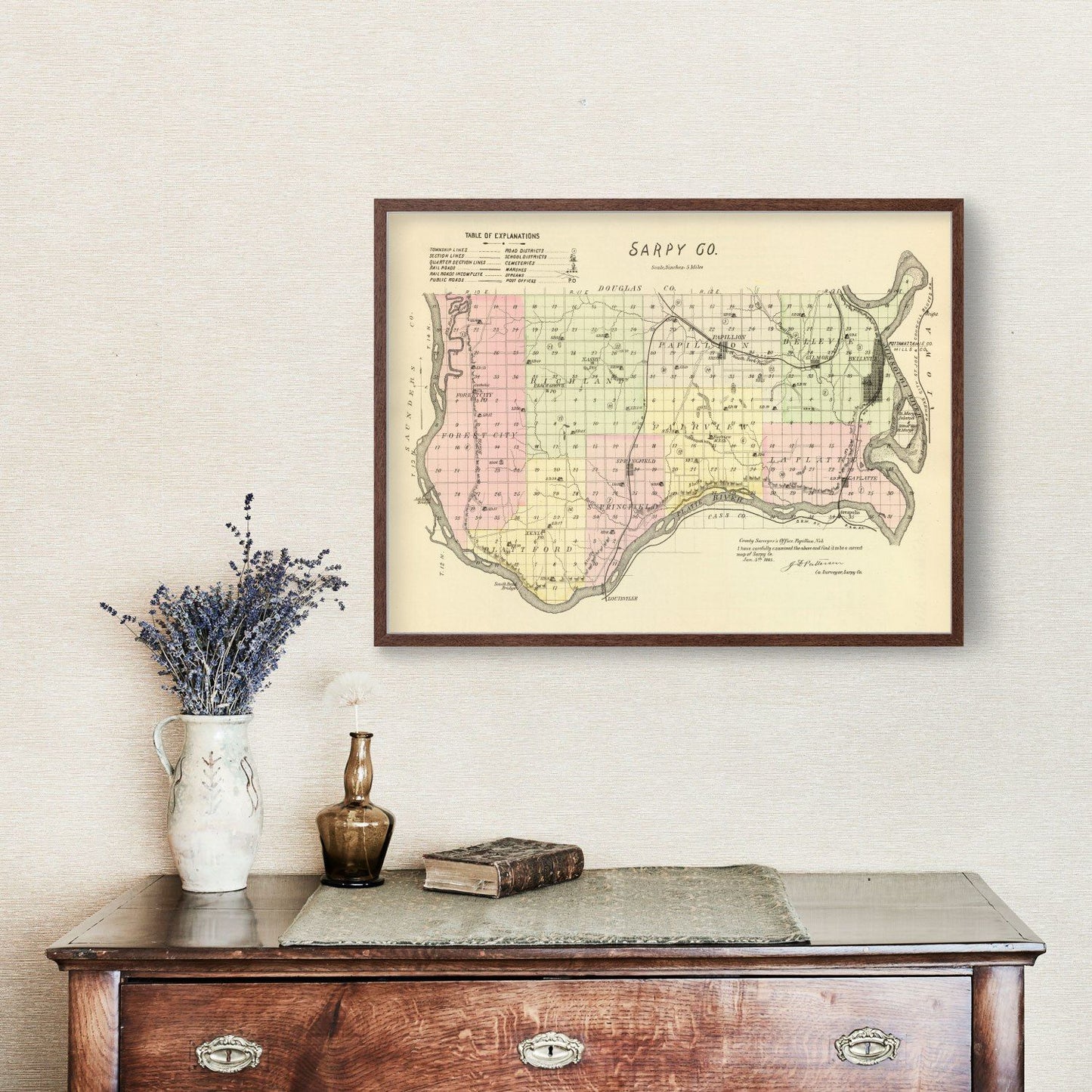 Vintage Map of Sarpy County, Nebraska, 1885