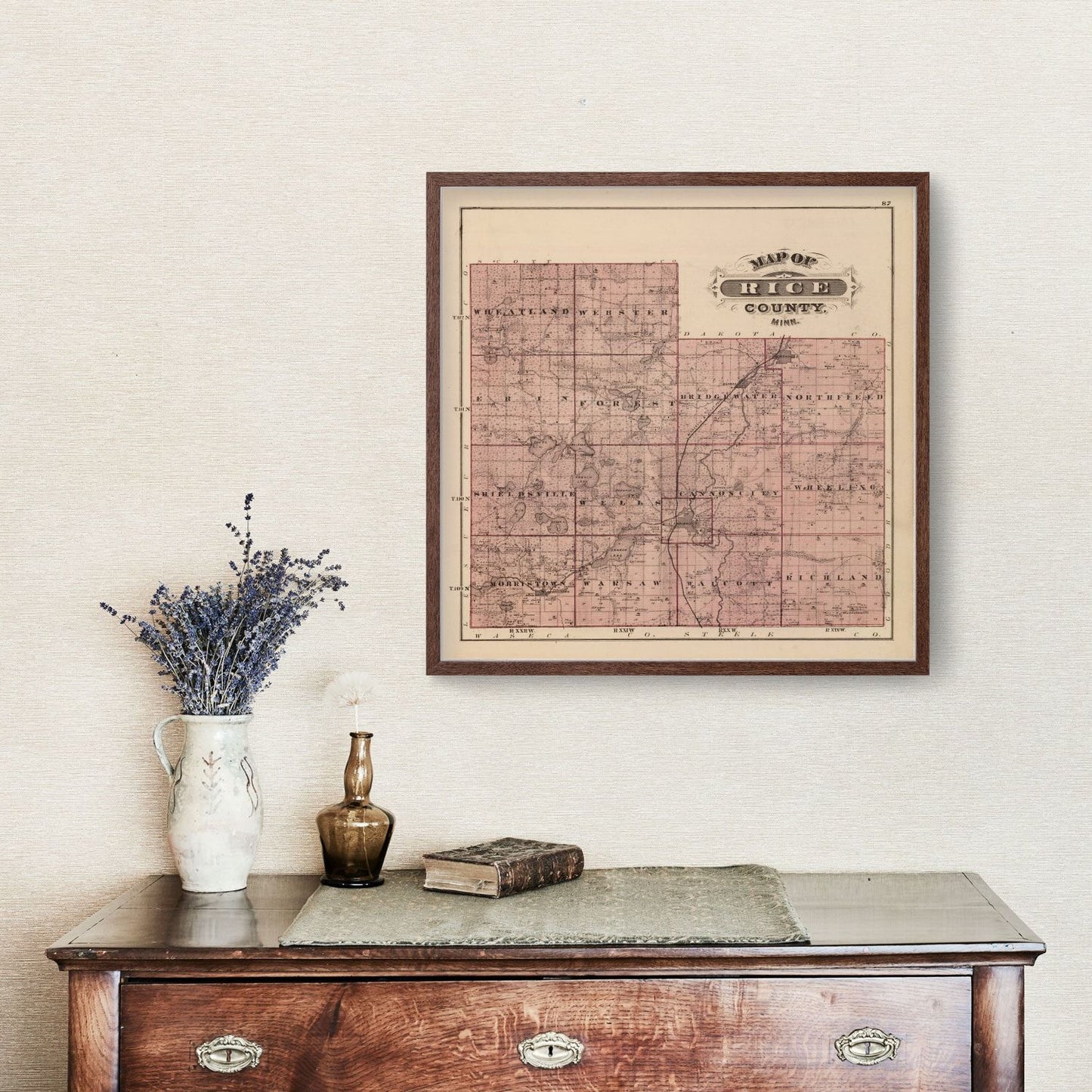 Vintage Map of Rice County, Minnesota, 1874