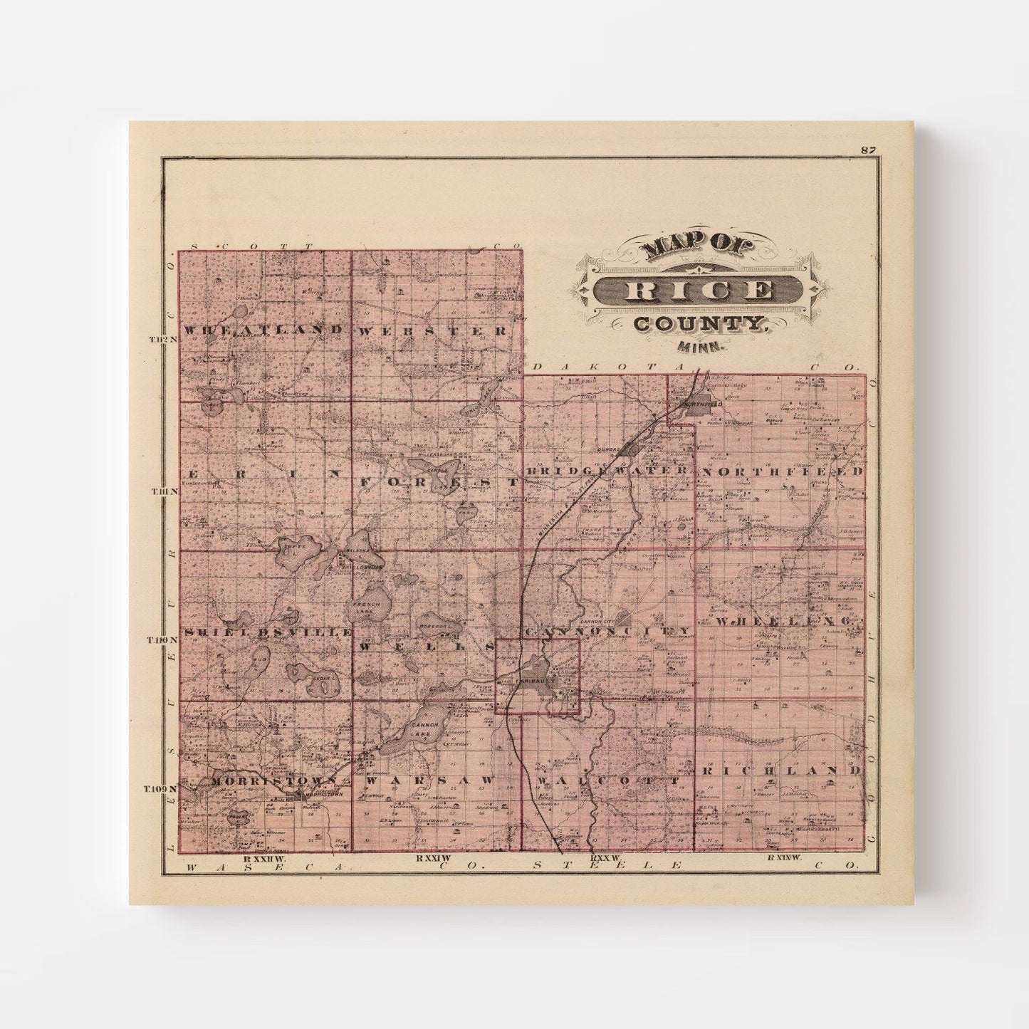 Vintage Map of Rice County, Minnesota, 1874