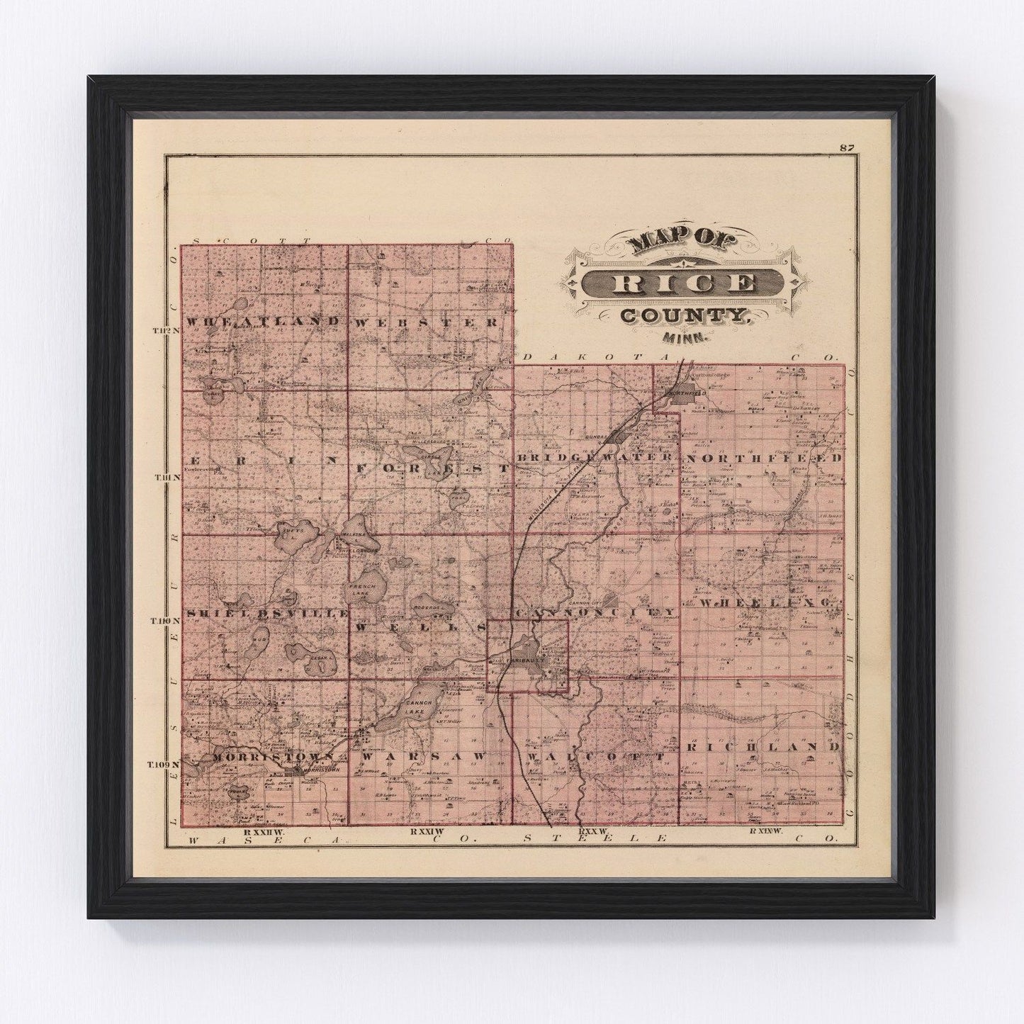 Vintage map of Rice County, Minnesota, 1874