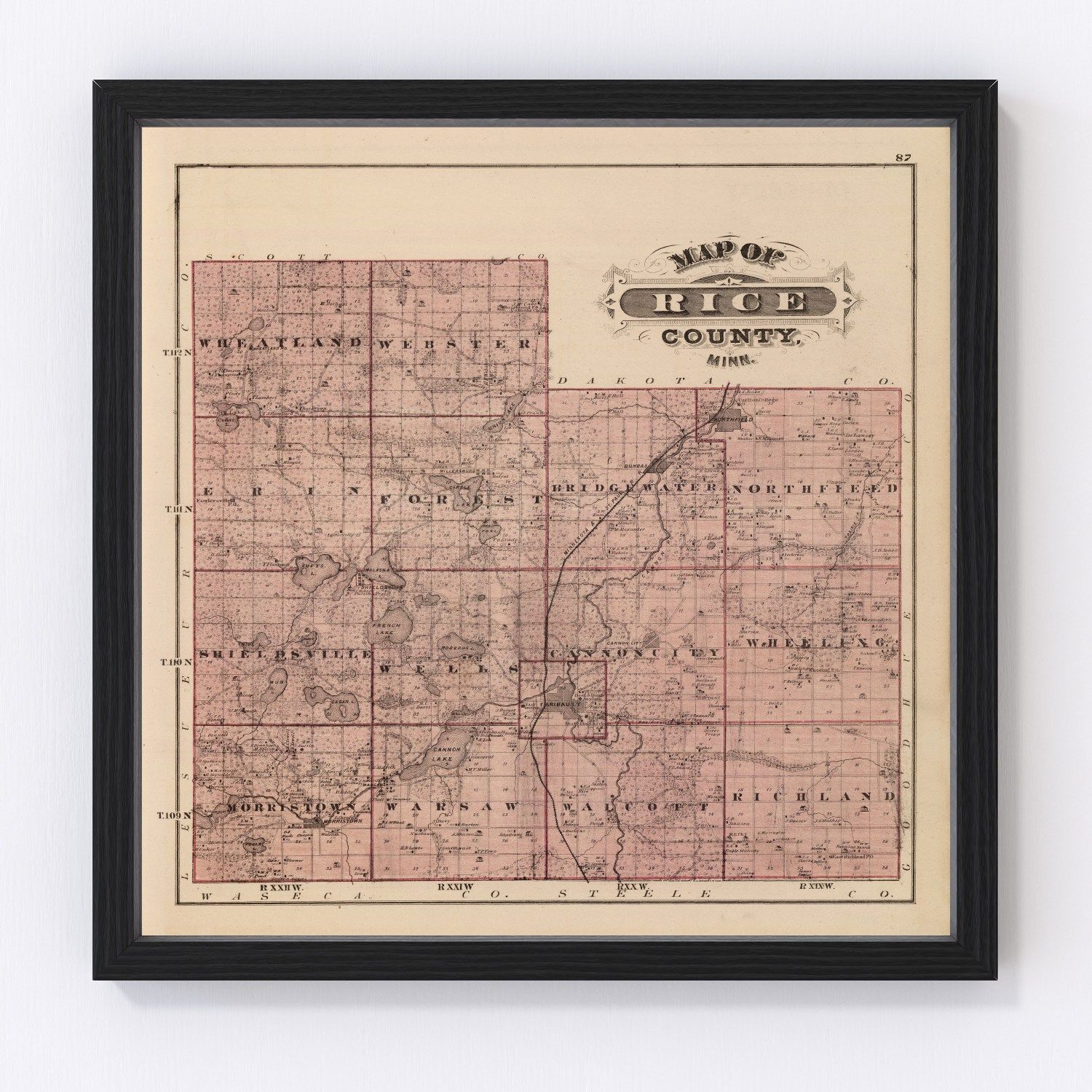 Vintage map of Rice County, Minnesota, 1874
