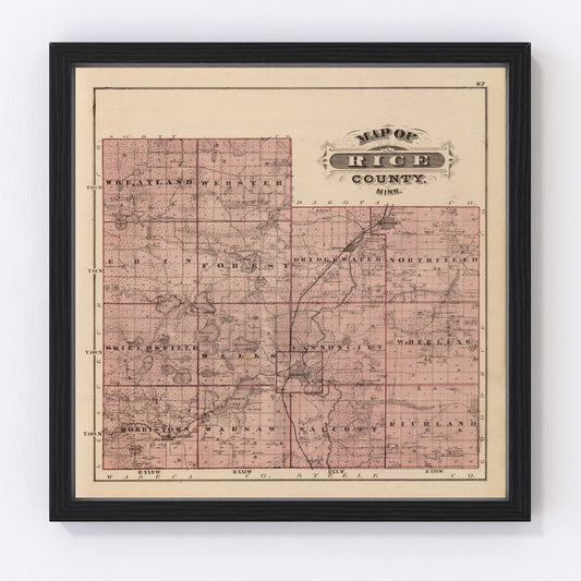 Vintage map of Rice County, Minnesota, 1874