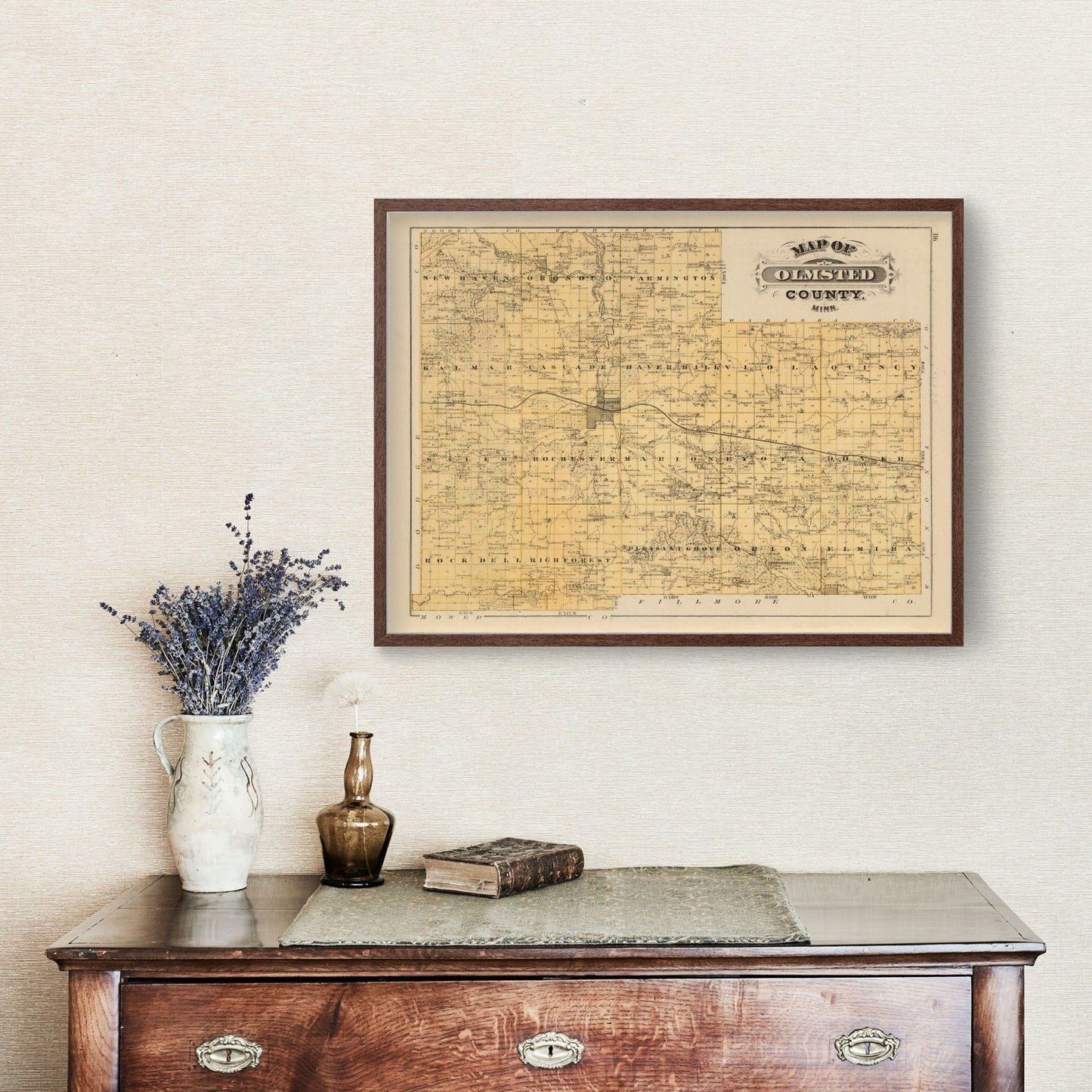 Vintage Map of Olmsted County, Minnesota, 1874