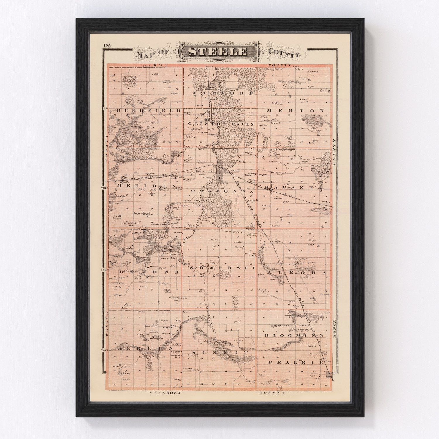 Vintage map of Steele County, Minnesota, 1874