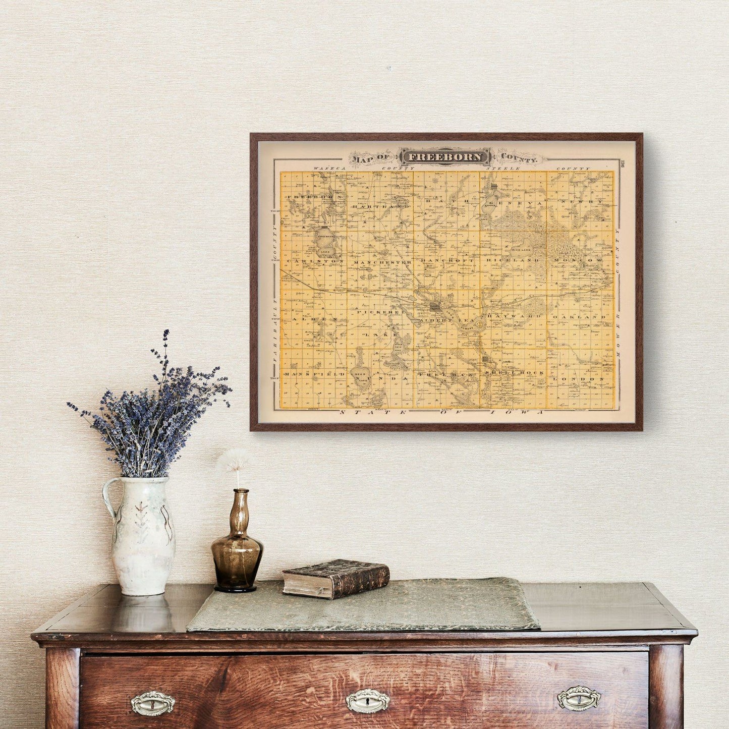 Vintage Map of Freeborn County, Minnesota, 1874