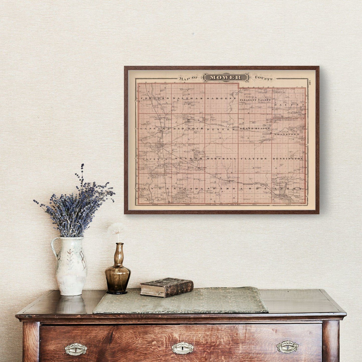 Vintage Map of Mower County, Minnesota, 1874