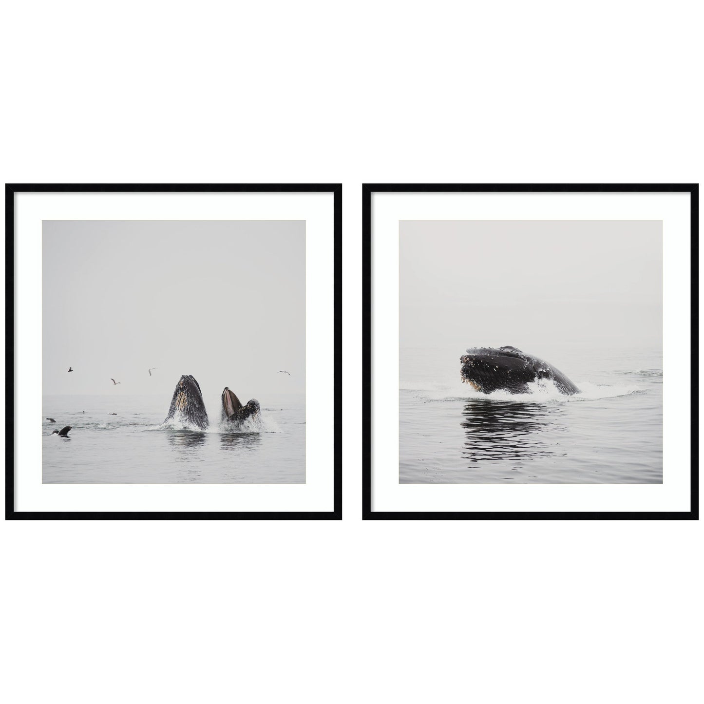 Humpback whale 2 piece framed wall art print set, ocean decor